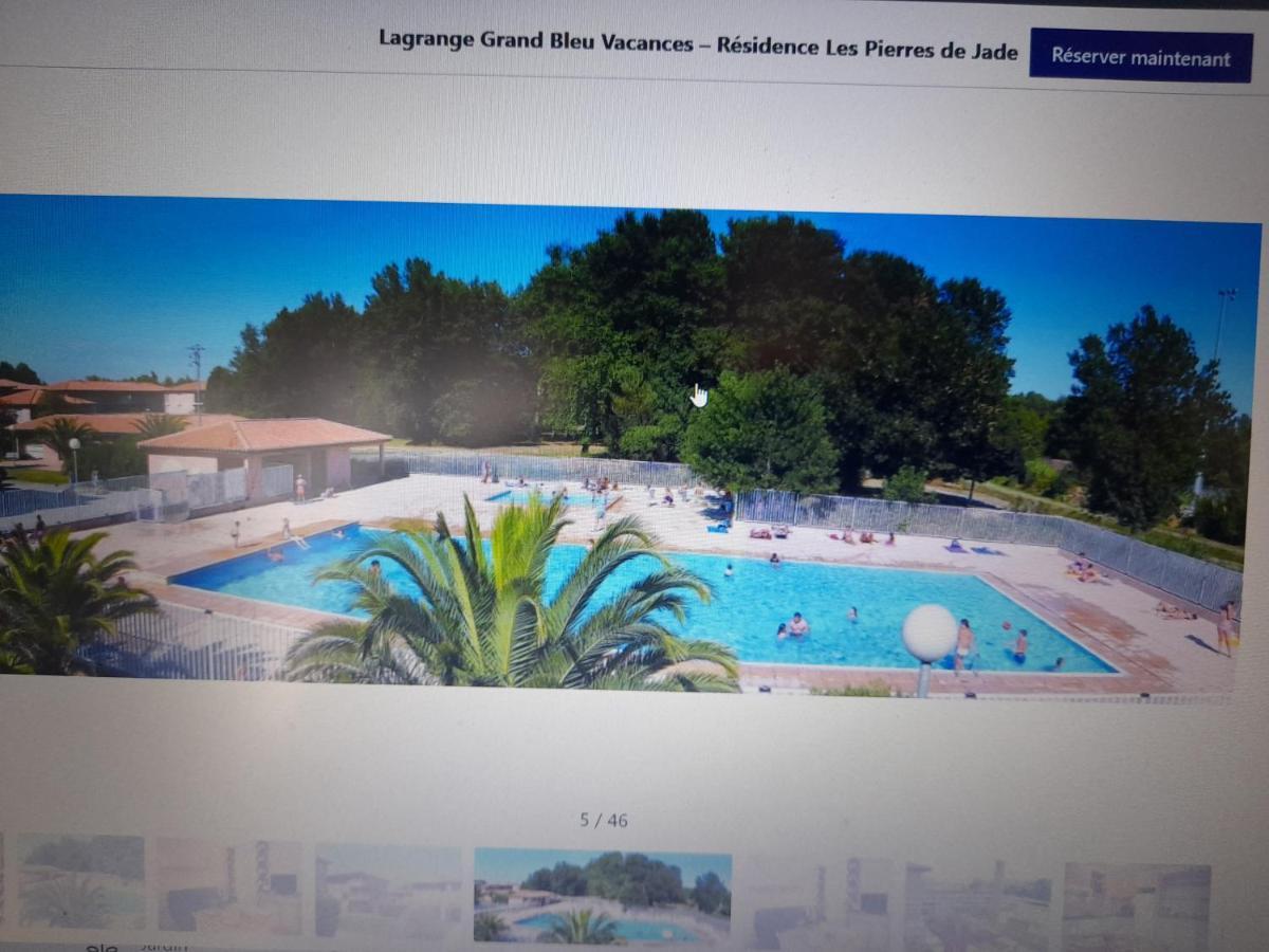 Appart T3 Terrasse - Piscine - 3 Etoiles Saint-Cyprien Kültér fotó